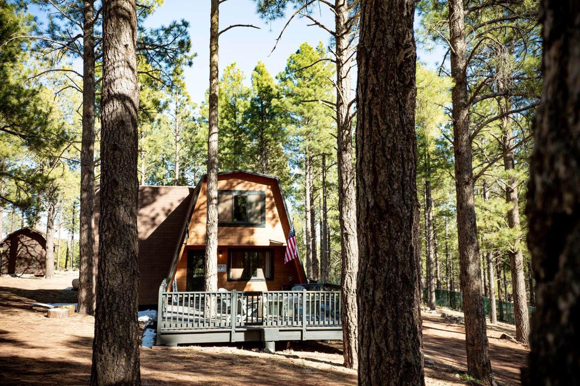 Grand Canyon Cabin! One Hour And 10 Minutes To The South Entrance! Williams Zewnętrze zdjęcie