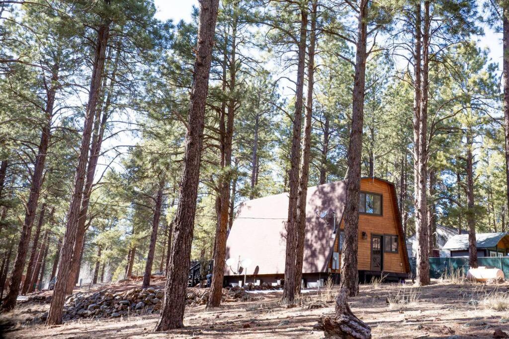 Grand Canyon Cabin! One Hour And 10 Minutes To The South Entrance! Williams Zewnętrze zdjęcie