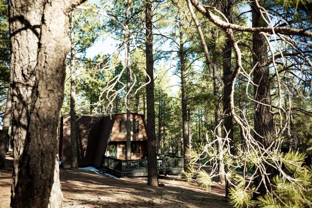 Grand Canyon Cabin! One Hour And 10 Minutes To The South Entrance! Williams Zewnętrze zdjęcie