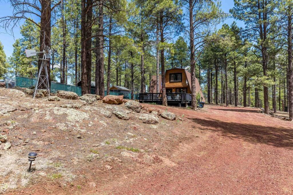 Grand Canyon Cabin! One Hour And 10 Minutes To The South Entrance! Williams Zewnętrze zdjęcie