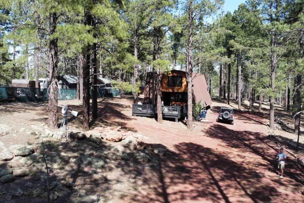 Grand Canyon Cabin! One Hour And 10 Minutes To The South Entrance! Williams Zewnętrze zdjęcie